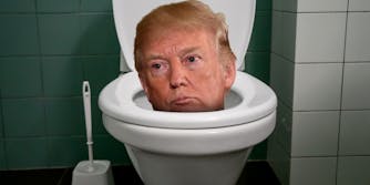 特朗普从厕所戳出他的头
