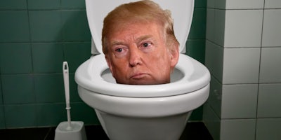 Trump poking his head out from a toilet