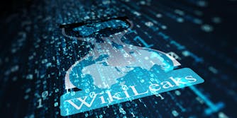 wikileaks logo on data