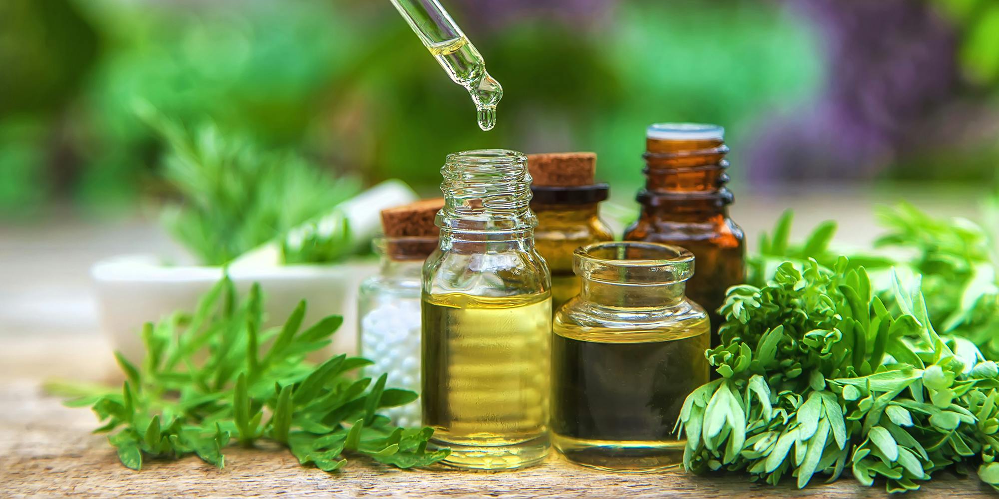 wormwood essential oil in bottles with dropper