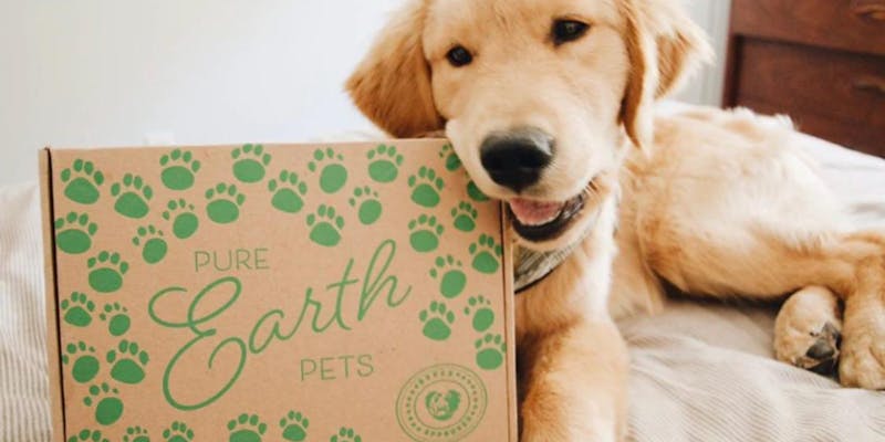 A cute doggo noms the corner of this eco friendly monthly box for pets
