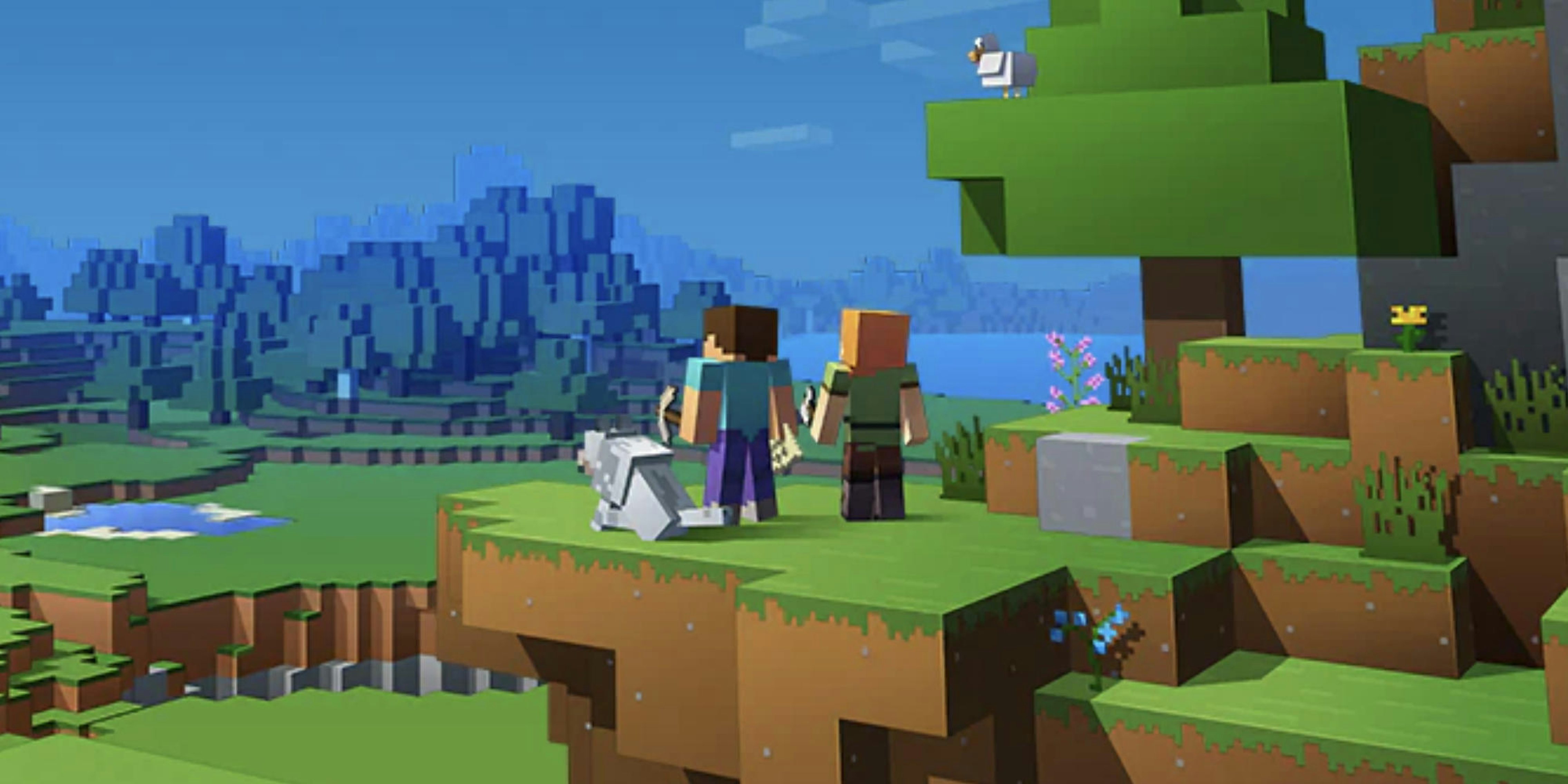 promotional image for minecraft game