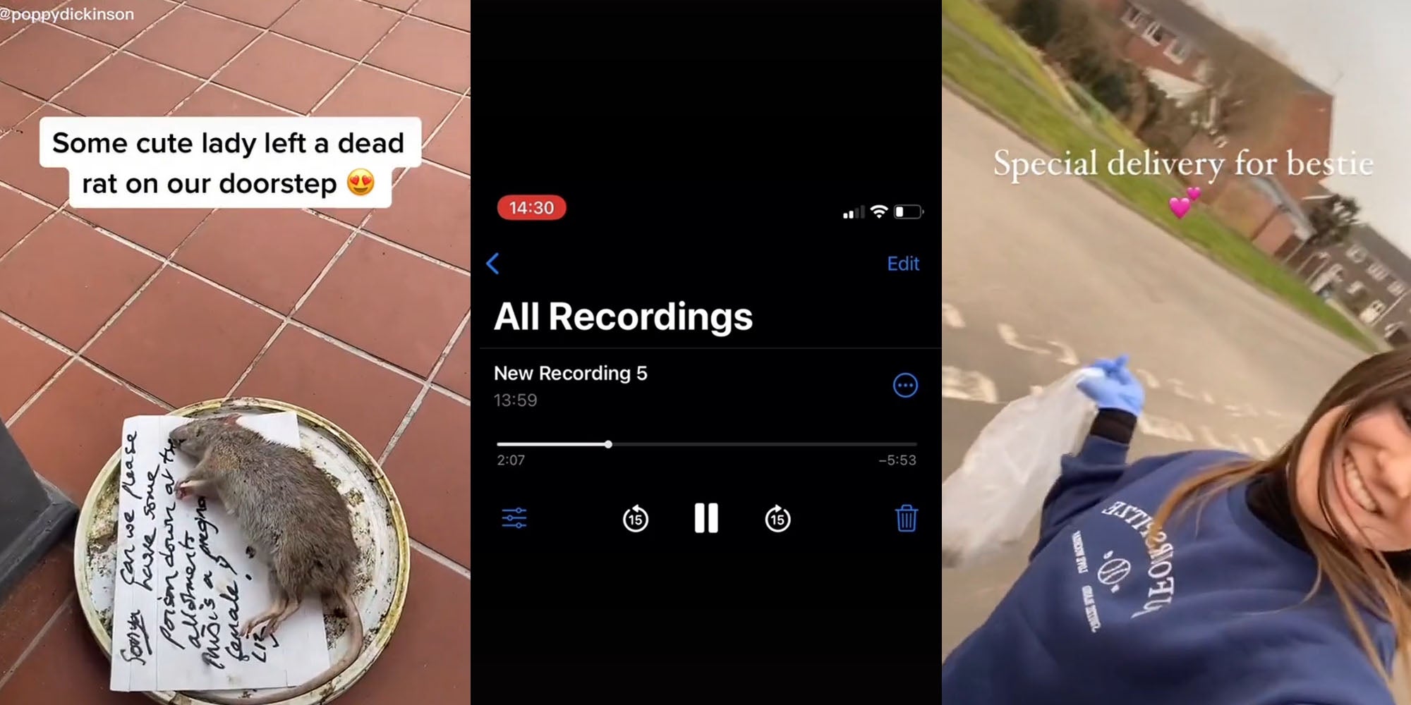 Dead rat on dish with note underneath caption ' Some cute lady left a dead rat on our doorstep' (l) iPhone recording screenshot ' All Recordings' 'New Recording 5'(c) Woman with gloves and bag in hand caption ' Special delivery for bestie' (r)