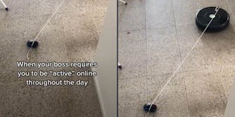 Roomba with computer mouse on string caption " When your boss requires you to be "active" online throughout the day" (l) Roomba with mouse on string(r)