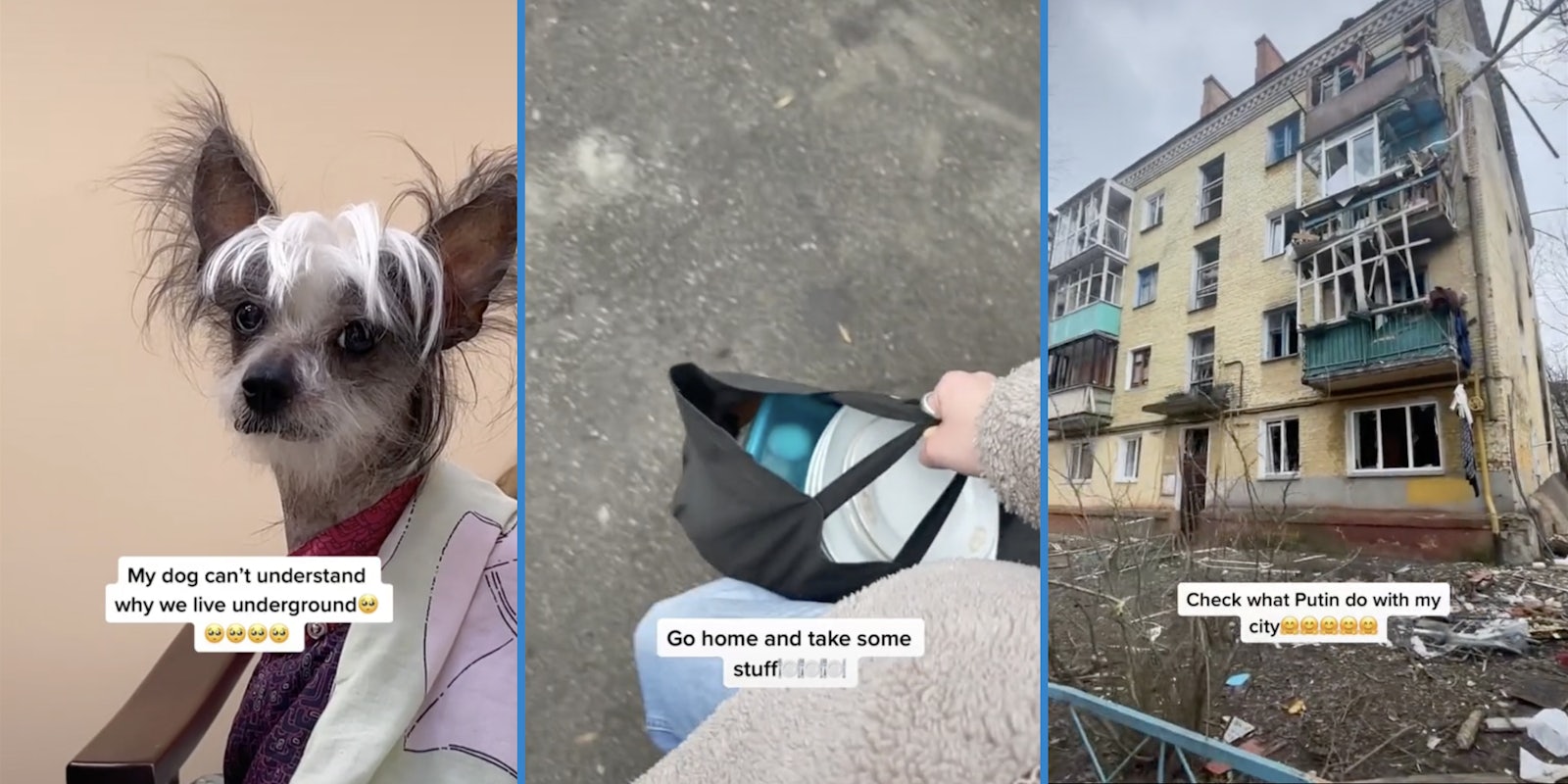 'My dog can't understand why we live underground' (L), 'Go home and take some stuff' featuring a bag of plates (M), 'Check what Putin do with my city' featuring damaged building (R)