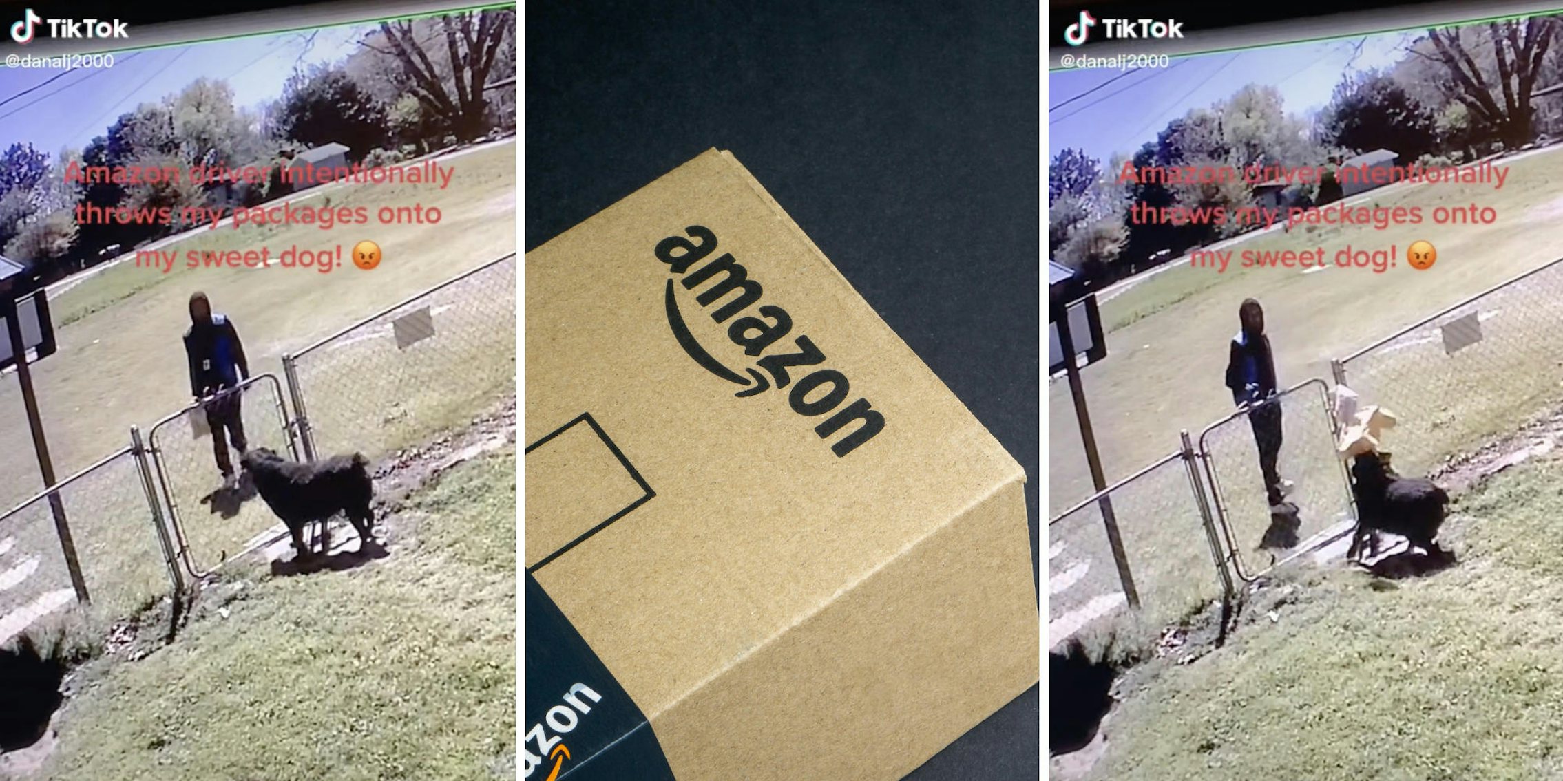 amazong worker walking towards yard (l) amazon box (m) amazon worker throwing packages on dog (r)