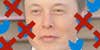 elon musk behind twitter birds