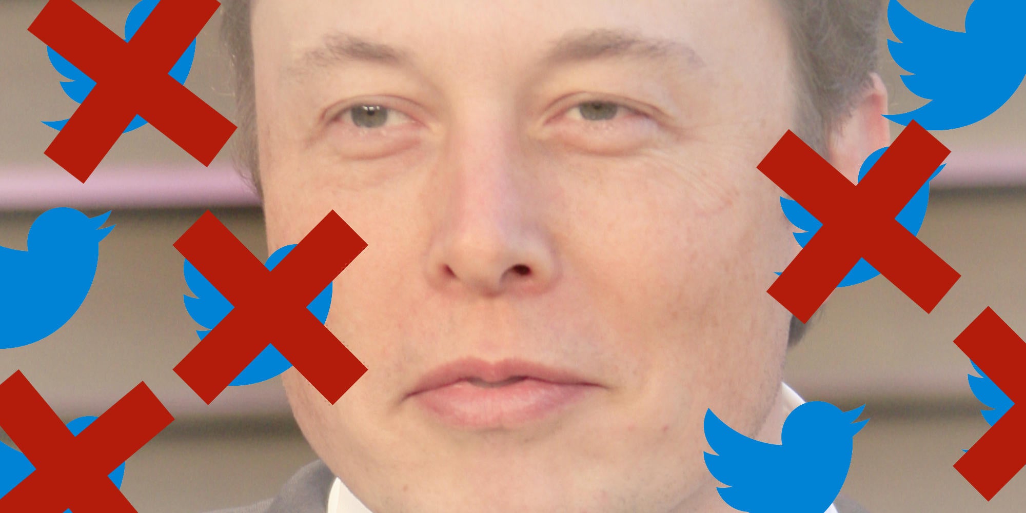 elon musk behind twitter birds