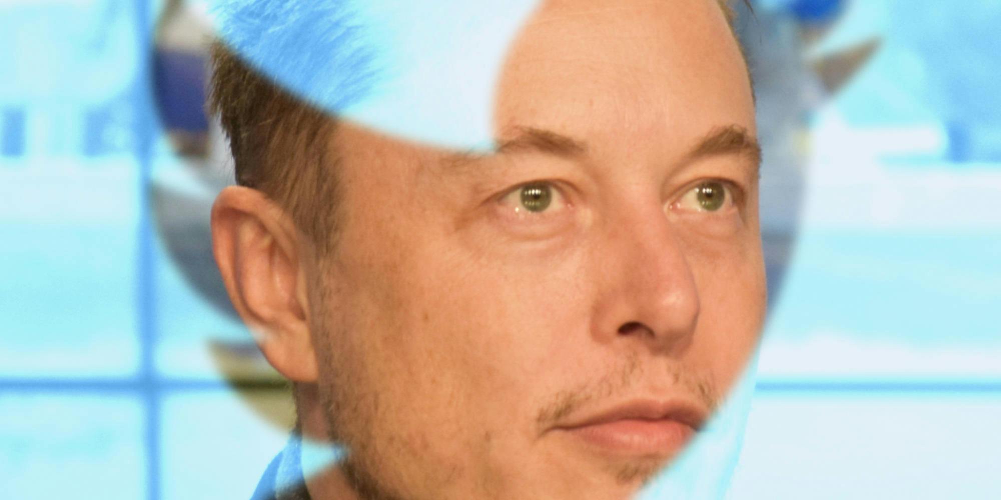 Elon Musk: Theories About Why He Isn't Joining Twitter Board