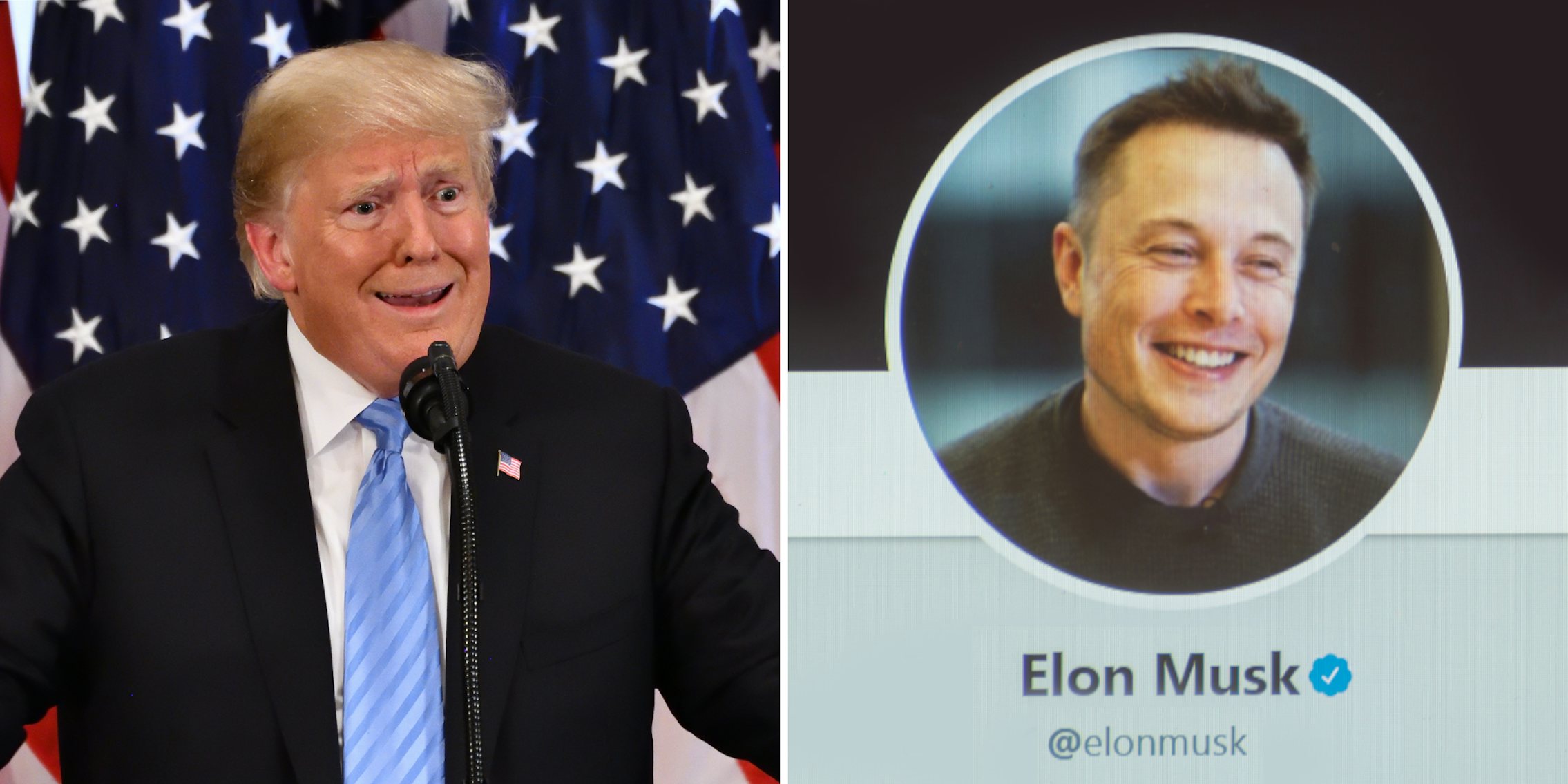 Donald Trump (l) Elon Muck twitter profile (r)