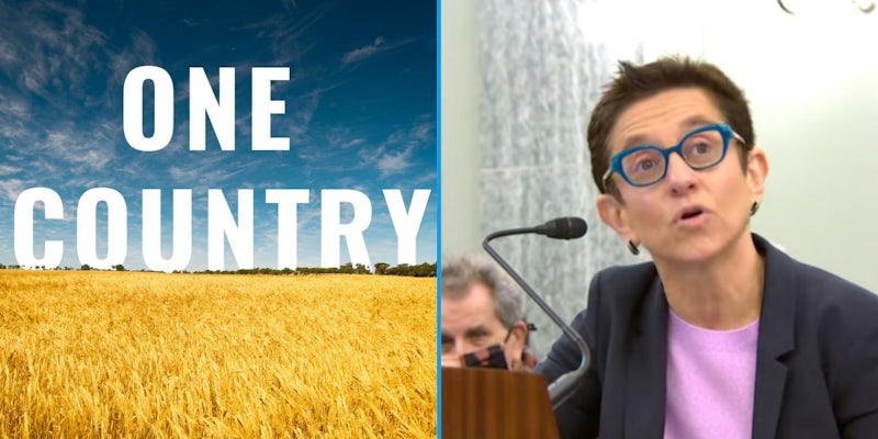 One country project profile photo of field and blue sky (l) Gigi Sohn speaking into microphone (r)