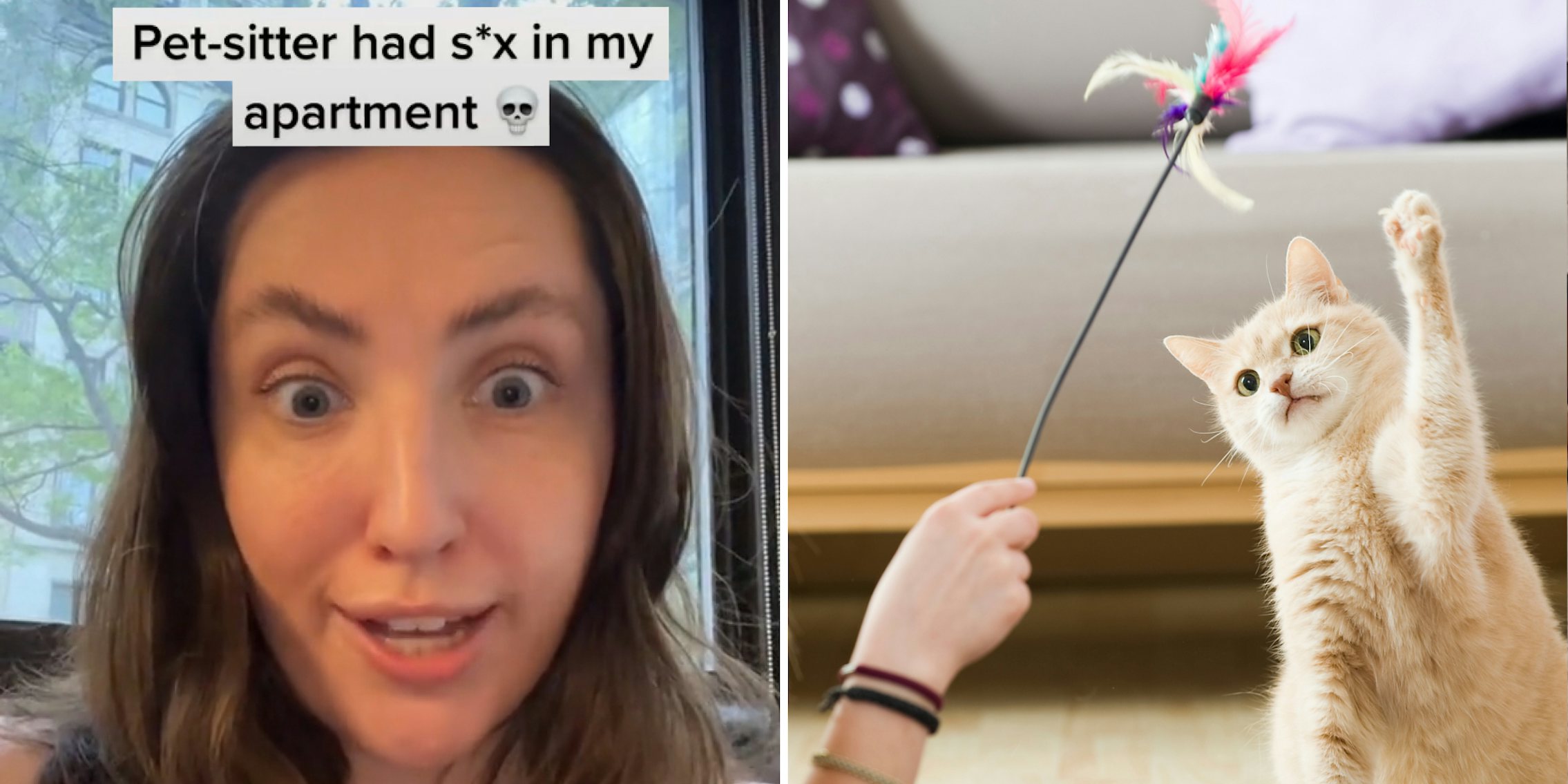 Woman shocked face caption 'Pet-sitter had s3x in my apartment' (l) hand holding cat toy playing with cat in Livingroom (r)