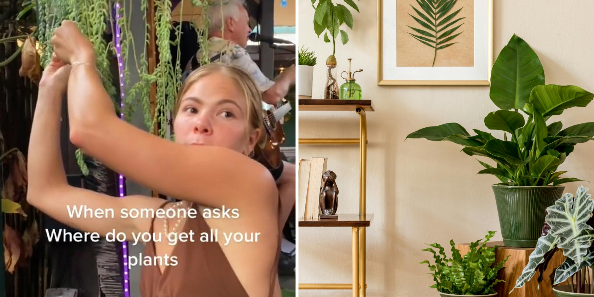 woman reaching up to plant taking a piece of it caption "When someone asks Where do you get all your plants" (l) Plants in trendy room tan (r)