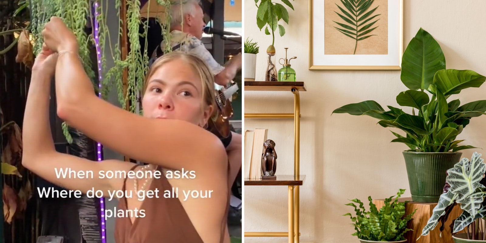 woman reaching up to plant taking a piece of it caption 'When someone asks Where do you get all your plants' (l) Plants in trendy room tan (r)