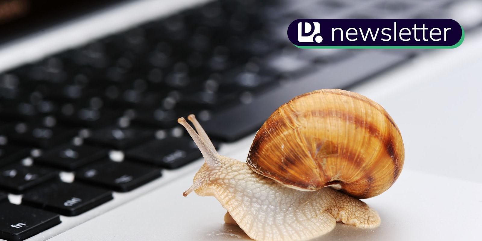 A snail next to a computer keyboard. The Daily Dot newsletter logo is in the top right corner.