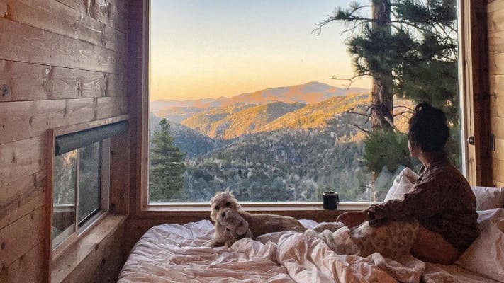 Woman and her dog overlooking mountains from her vacation rental in the woods