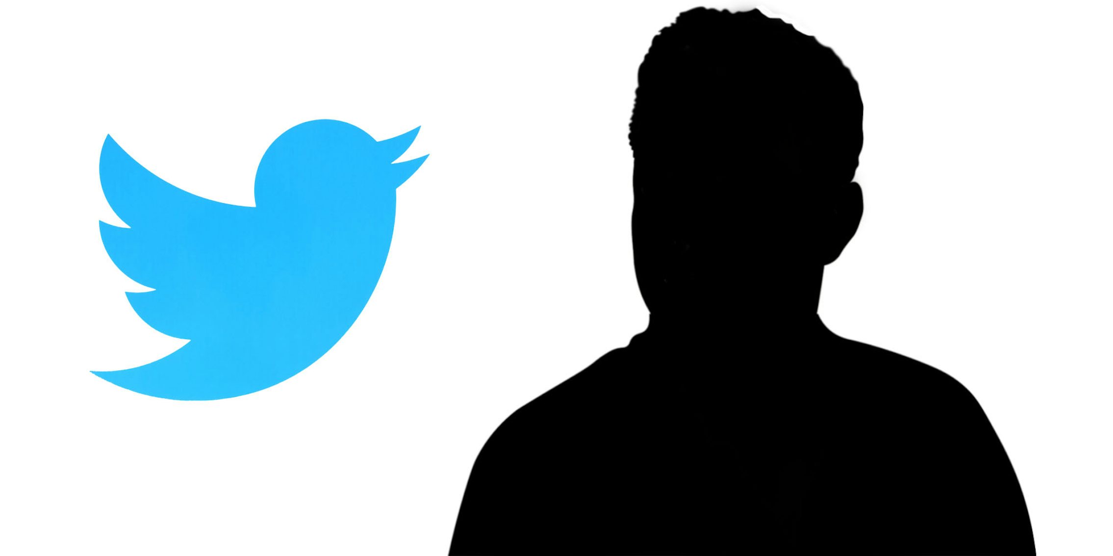Twitter logo left on white background Elon Musk silhouette black right