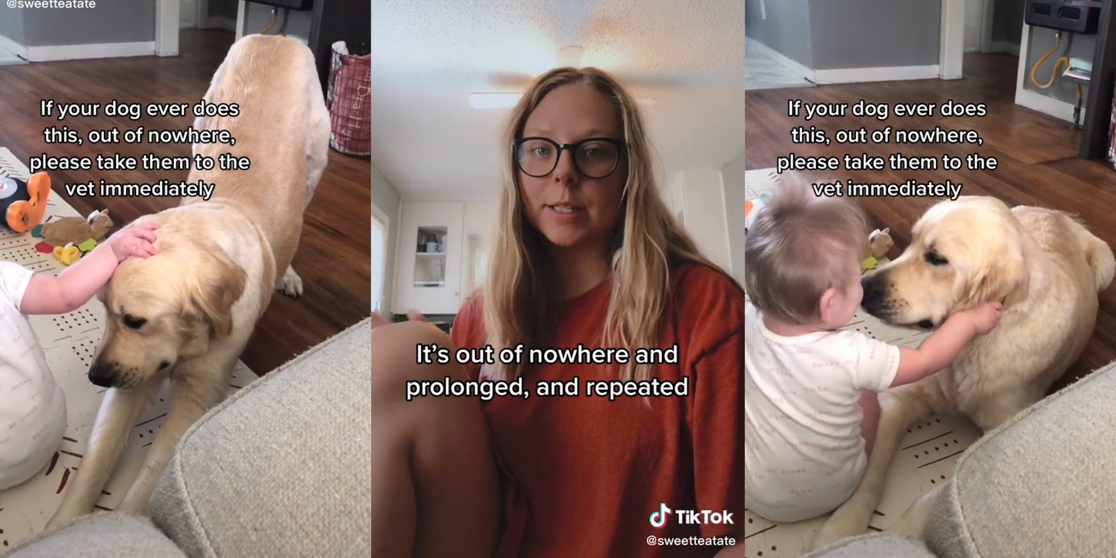 baby with dog stretching and caption 'if your dog ever does this, out of nowhere, please take them to the vet immediately' (l&r) woman with caption 'it's out of nowhere and prolonged, and repeated' (c)