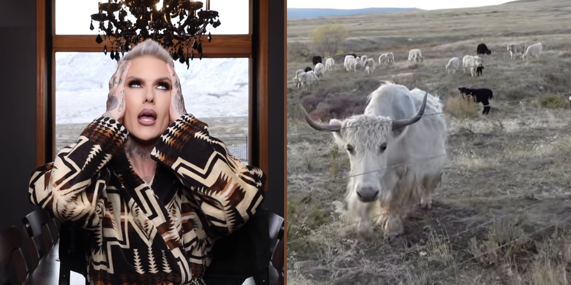 Jeffree Star Is Selling Yak Meat From His Ranch—And Fans Are Shocked