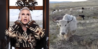 influencer and youtuber jeffree star rolling his eyes with his hands on his head, photo of a yak on his Star Yak Farm in Wyoming