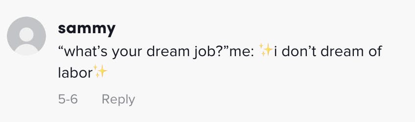 “what’s your dream job?”me: ✨i don’t dream of labor✨