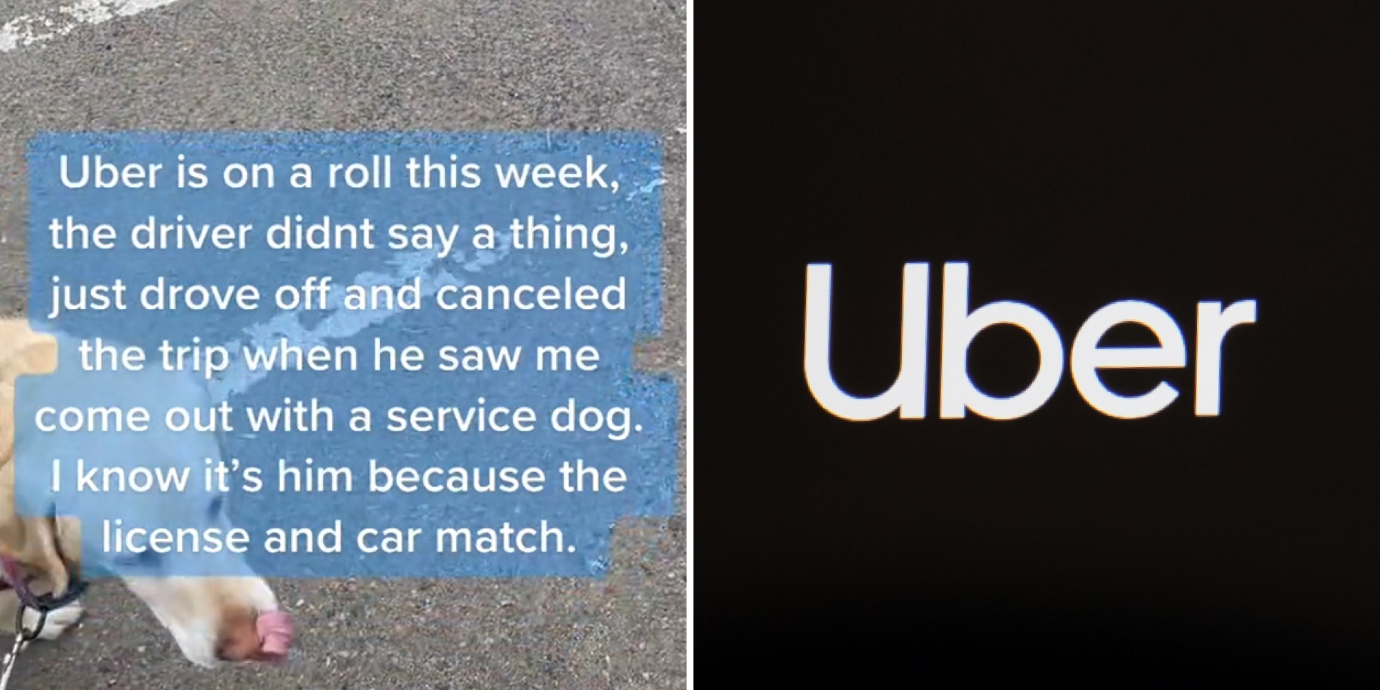 Service best sale dog uber