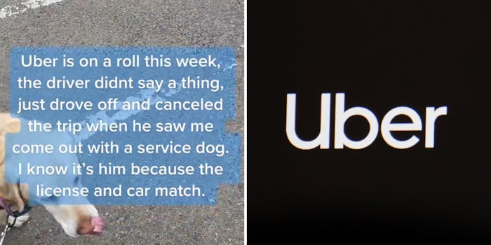 service dog in parking lot caption "Uber is on a roll this week, the driver didn't say as thing, just drove off and canceled the trip when he saw me come out with a service dog. I know it's him because the license and car match. (l) uber logo white on black background (r)