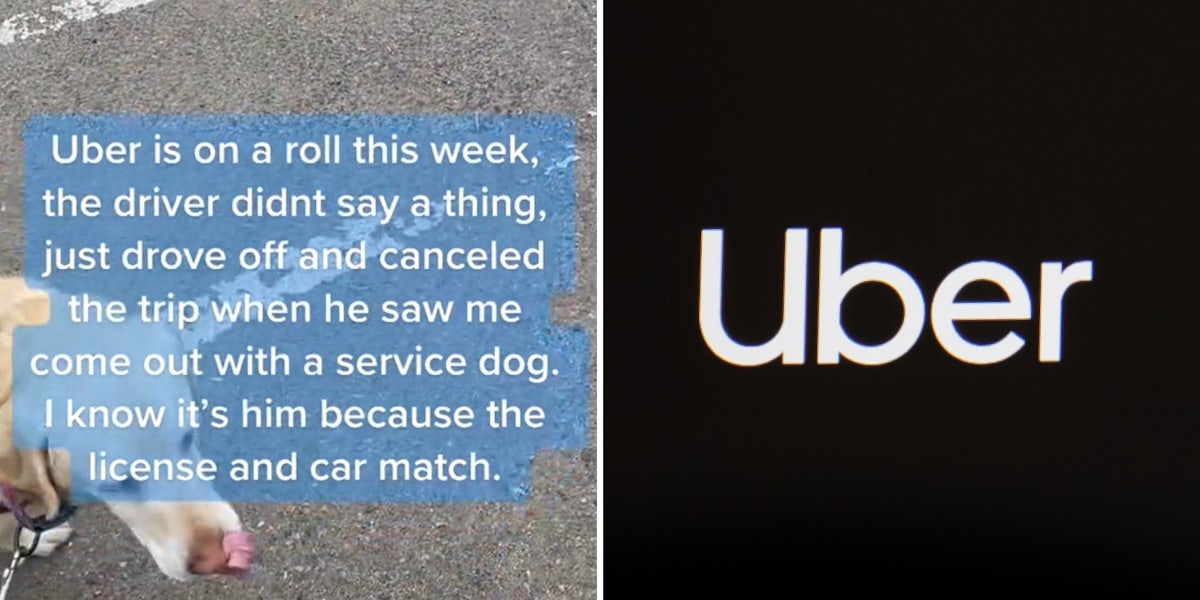service dog in parking lot caption 'Uber is on a roll this week, the driver didn't say as thing, just drove off and canceled the trip when he saw me come out with a service dog. I know it's him because the license and car match. (l) uber logo white on black background (r)