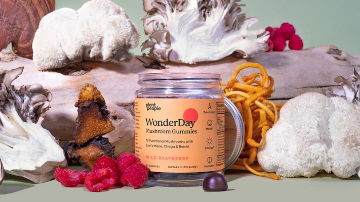 Jar of WonderDay Mushroom Gummies surrounded by mushrooms and raspberries