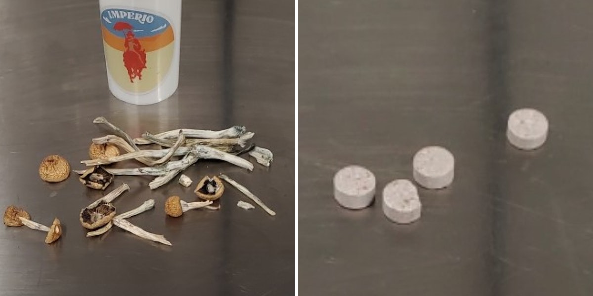 psilocybin mushrooms in raw form on metal table plastic container behind (l) ecstasy pills on metal table (r)