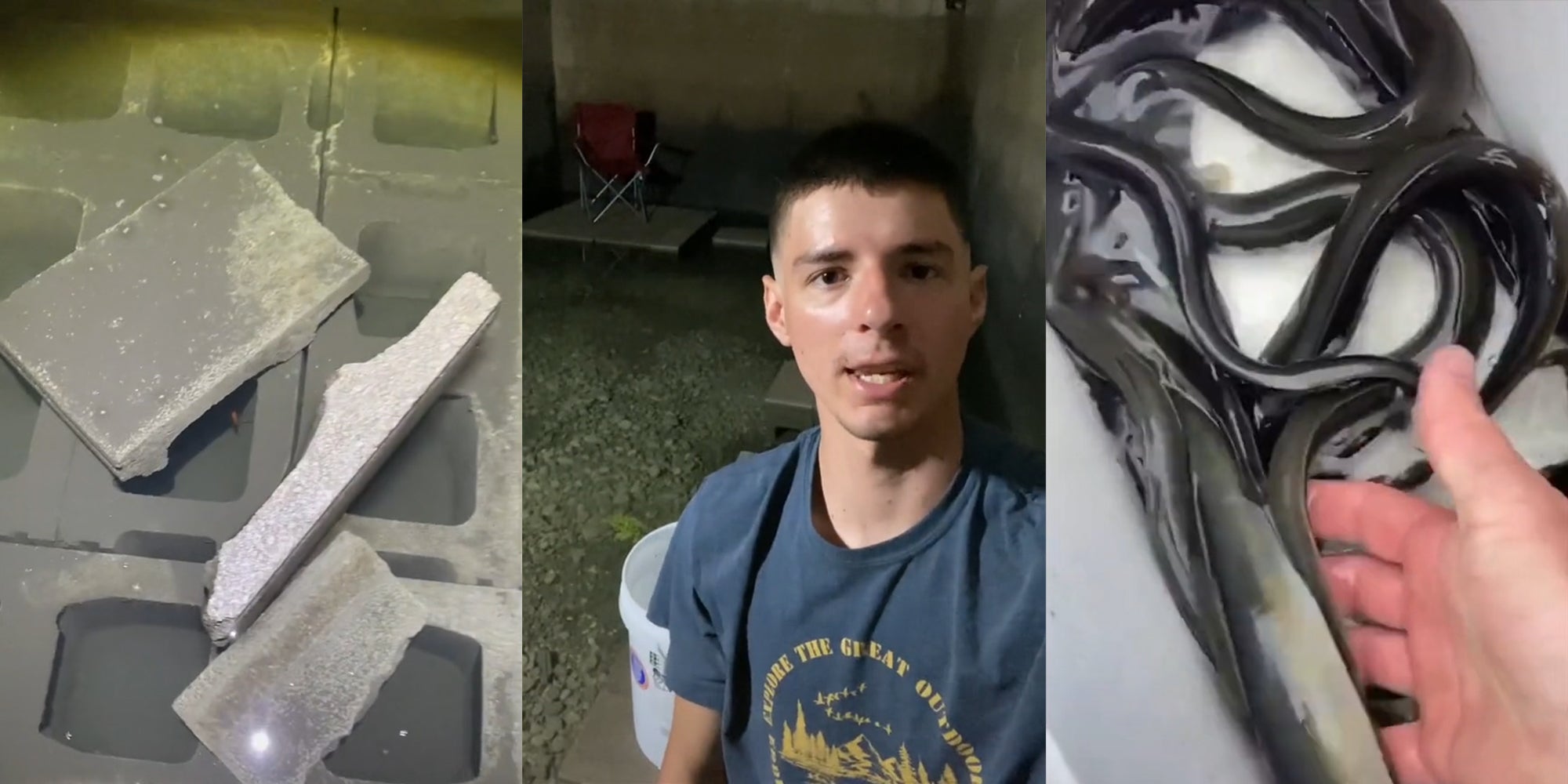 goldfish hiding in cinder blocks under water (l) man in room with rocks and water (c) hand reaching into a cooler to grab live eels (r)