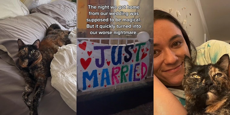 Cat laying on bed (l) House porch with 'Just Married' sign hung on railing caption 'The night we got home from our wedding was supposed to be magical. But it quickly turned into our worst nightmare' (c) Woman cuddling cat on bed (r)