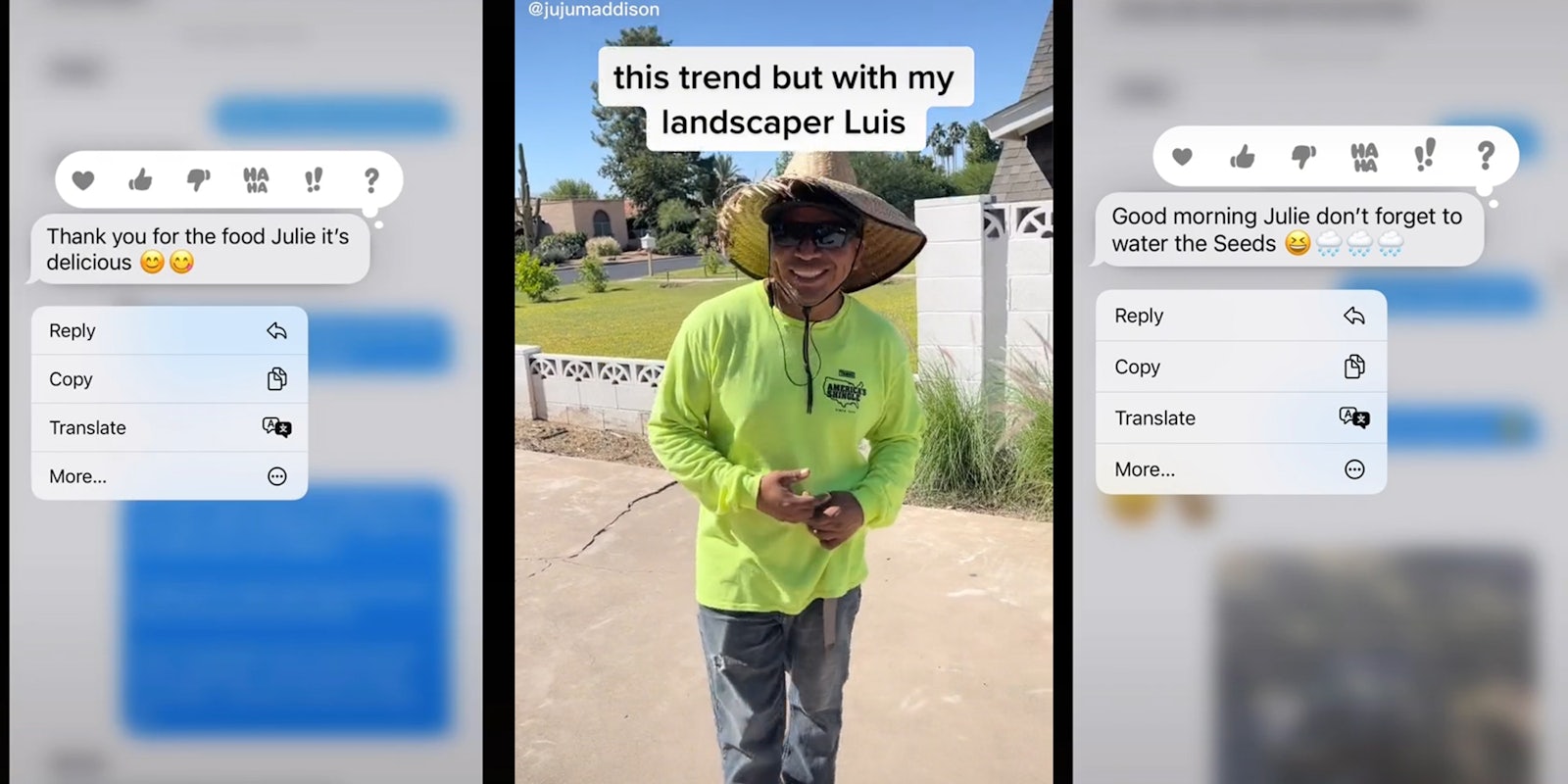 text message 'Thank you for the food Julie it's delicious' (l) Man in driveway with caption 'this trend but with my landscaper Luis' (c) text message 'Good morning Julie don't forget to water the Seeds' (r)