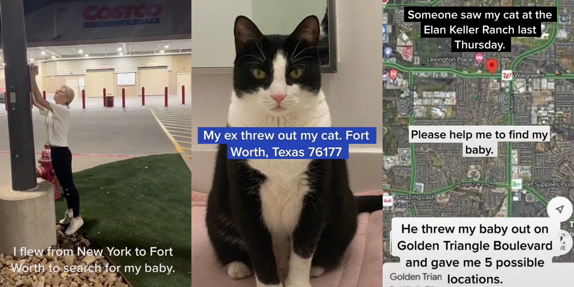 woman hanging up missing pet sign on pole at Costco parking lot caption 'I flew from New York to Fort Worth to search for my baby.' (l) Black and white cat with green eyes sitting caption 'My ex threw out my cat. Fort Worth, Texas 76177' (c) Google maps image of Golden Tringle Boulevard Texas captions 'Someone saw my cat at the Elan Keller Ranch last Thursday.' 'Please help me find my baby.' 'He threw y baby out on Golden Triangle Boulevard and gave me 5 possible locations.' (r)
