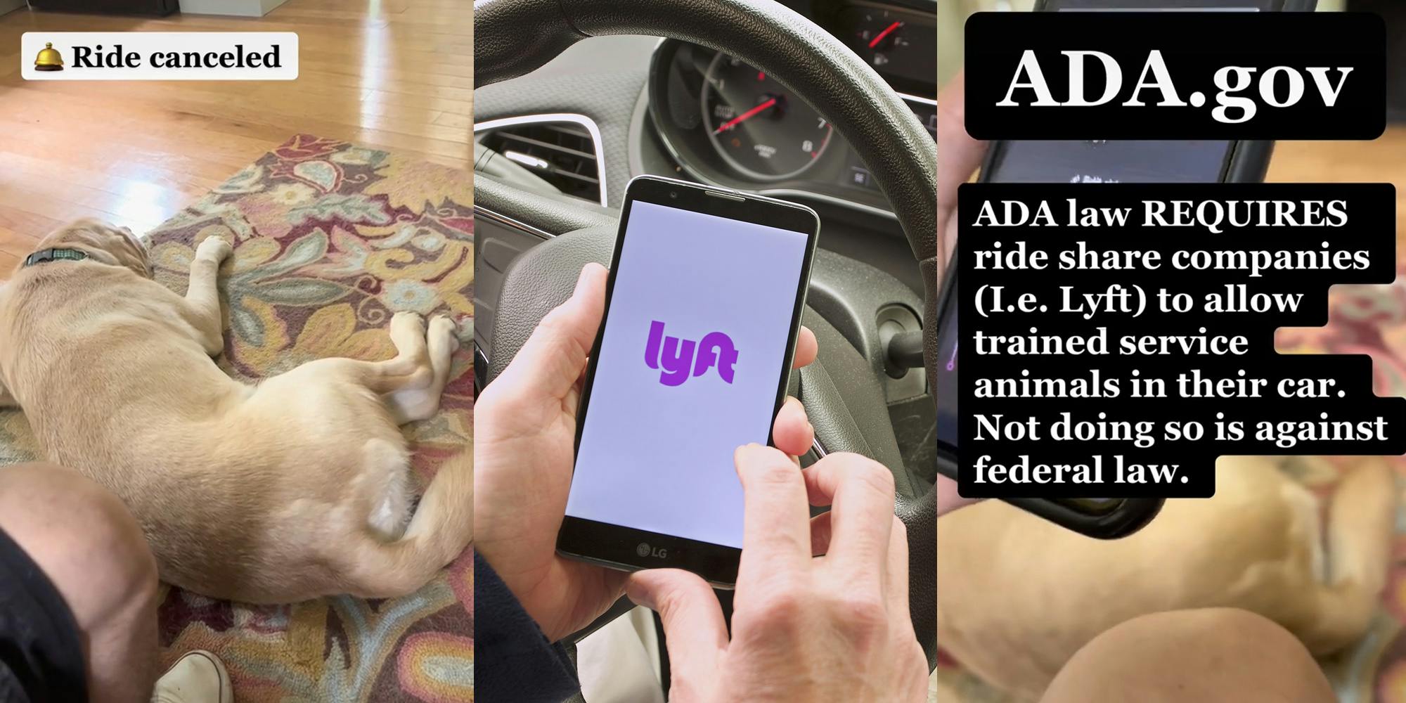 service dog sitting on rug owner on phone call caption "Ride canceled" (l) man hands holding phone in car with Lyft logo on screen (c) man phone caption "ADA.gov ADA law REQUIRES ride share companies (I.e Lyft) to allow trained service animals in their car. Not doing so is against federal law" (r)