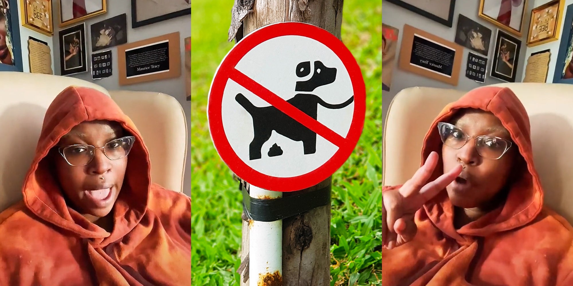 TikToker Says Neighbor Is Throwing Dog Poop Into Her Fenced Yard