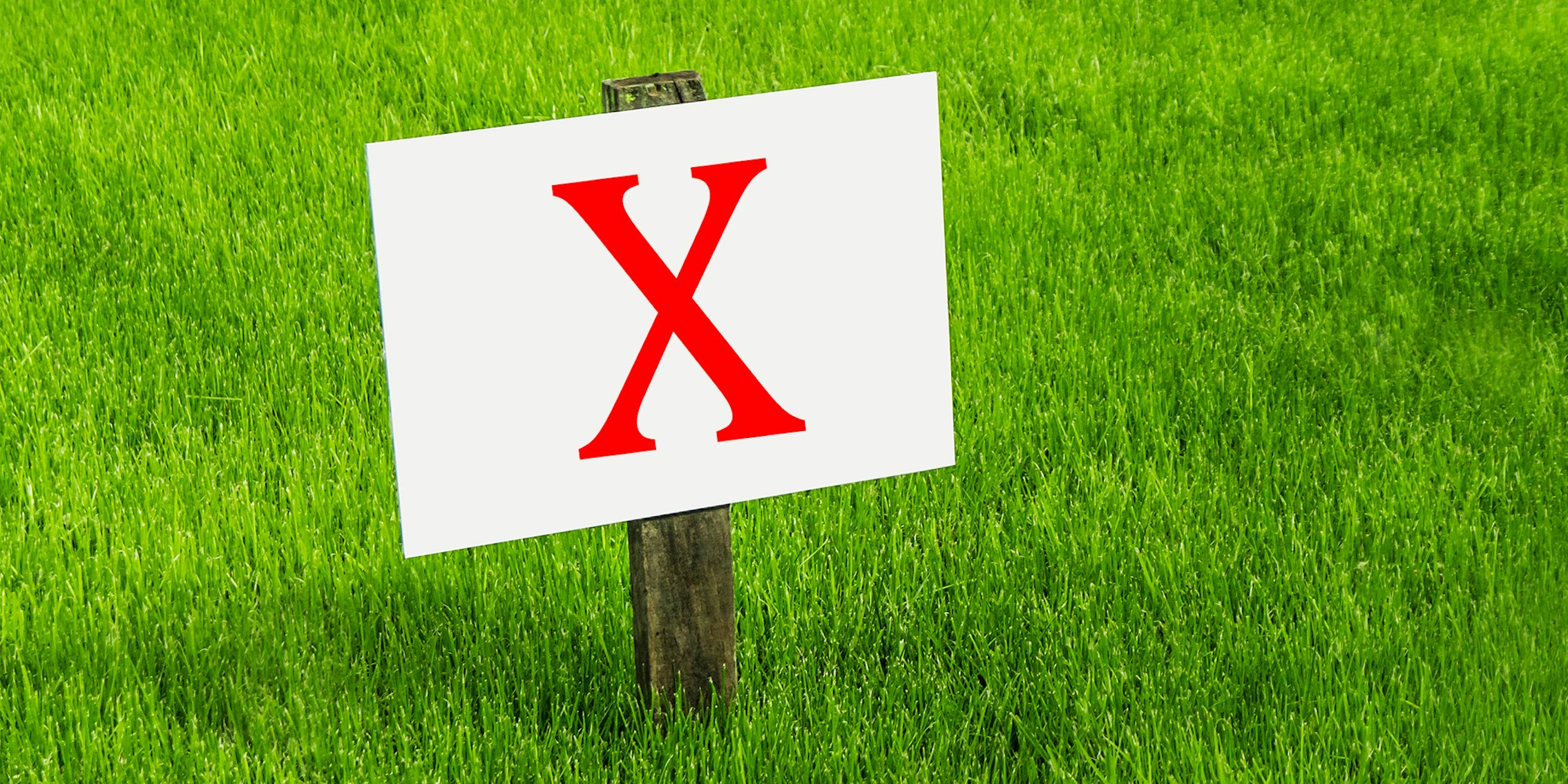 red X sign on a green meadow