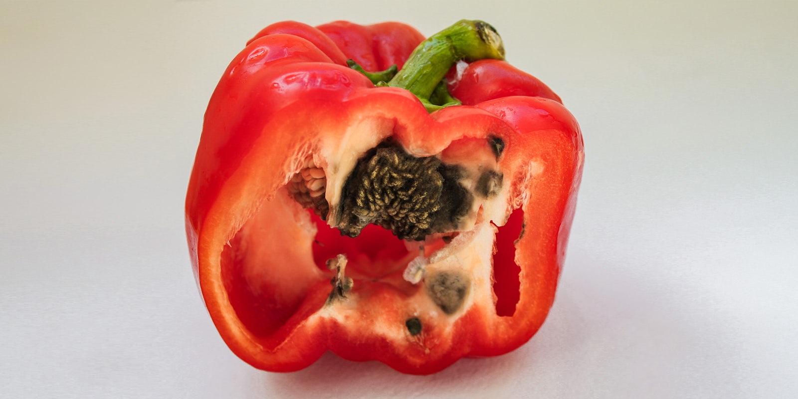 Red bell pepper, cut in half and rotten inside: black mold on seeds