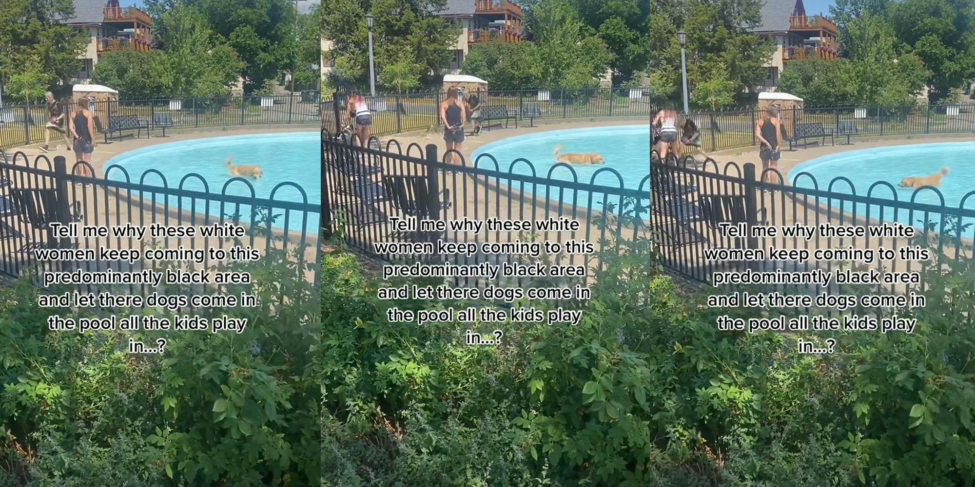 pool with woman standing on concrete and dog swimming in pool caption "Tell me why these white women keep coming to this predominantly black area and let their dogs play in the pool all the kids play in..." (l)pool with woman standing on concrete and dog swimming in pool caption "Tell me why these white women keep coming to this predominantly black area and let their dogs play in the pool all the kids play in..."(c)pool with woman standing on concrete and dog swimming in pool caption "Tell me why these white women keep coming to this predominantly black area and let their dogs play in the pool all the kids play in..."(r)