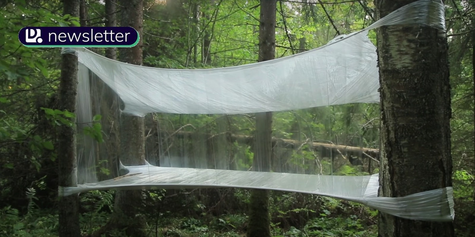 plastic wrap tent treehouse