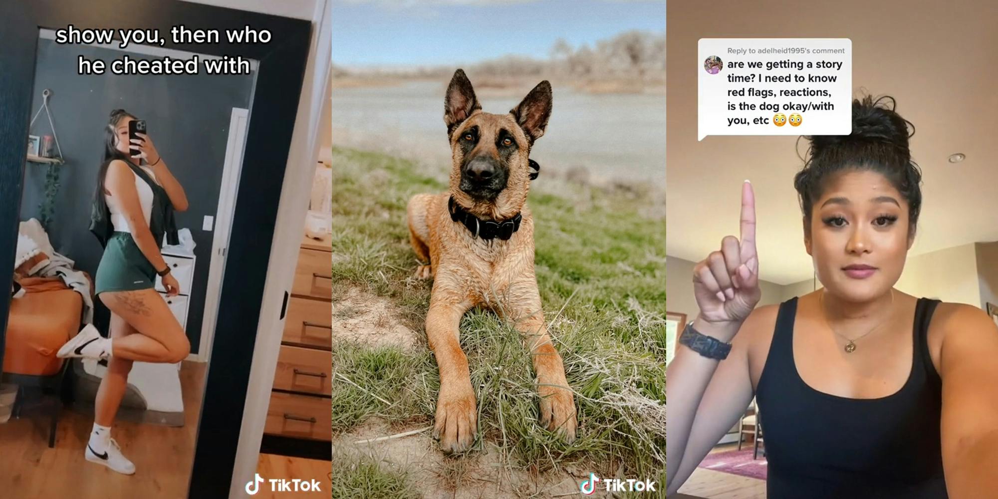 TikToker Says Ex-Boyfriend 'Cheated' on Her With Her Dog