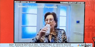 sidney powell on the January 6th Committee Deposition drinking Diet Dr Pepper