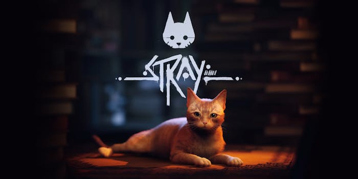 cat on table with "Stray" logo
