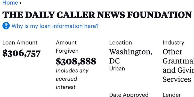 'THE DAILY CALLER NEWS FOUNDATION' Loan Amount $306,757 Amount Forgiven $308,888 Location Washington DC Urban Industry Other Grantma.. and Givin.. Services Date Approved Lender' on white background