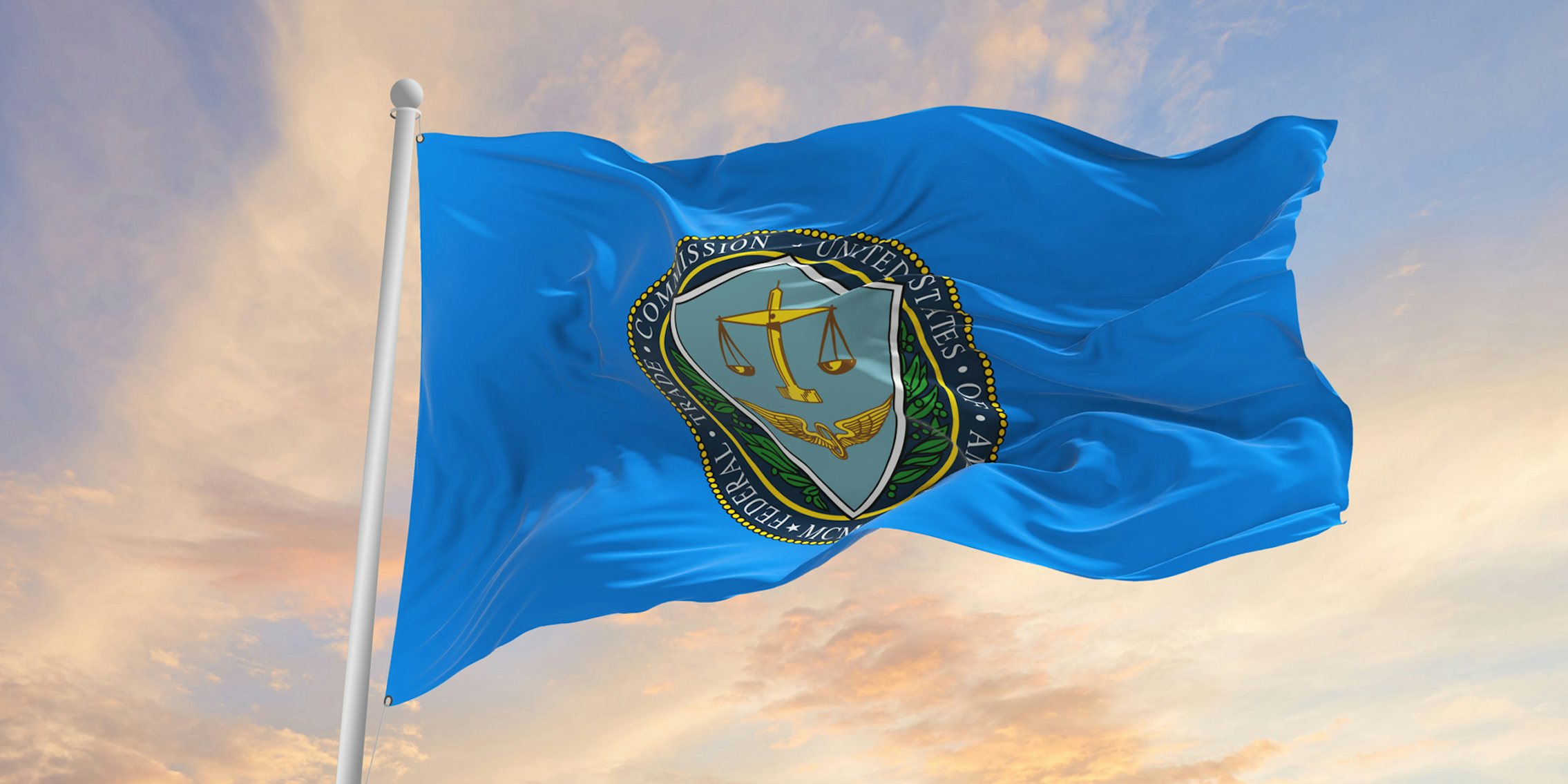 Federal Trade Commission flag with sky background
