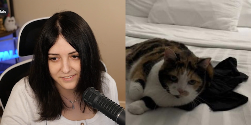 Keffals Twitch streamer speaking into microphone (l)cat on white sheets (r)