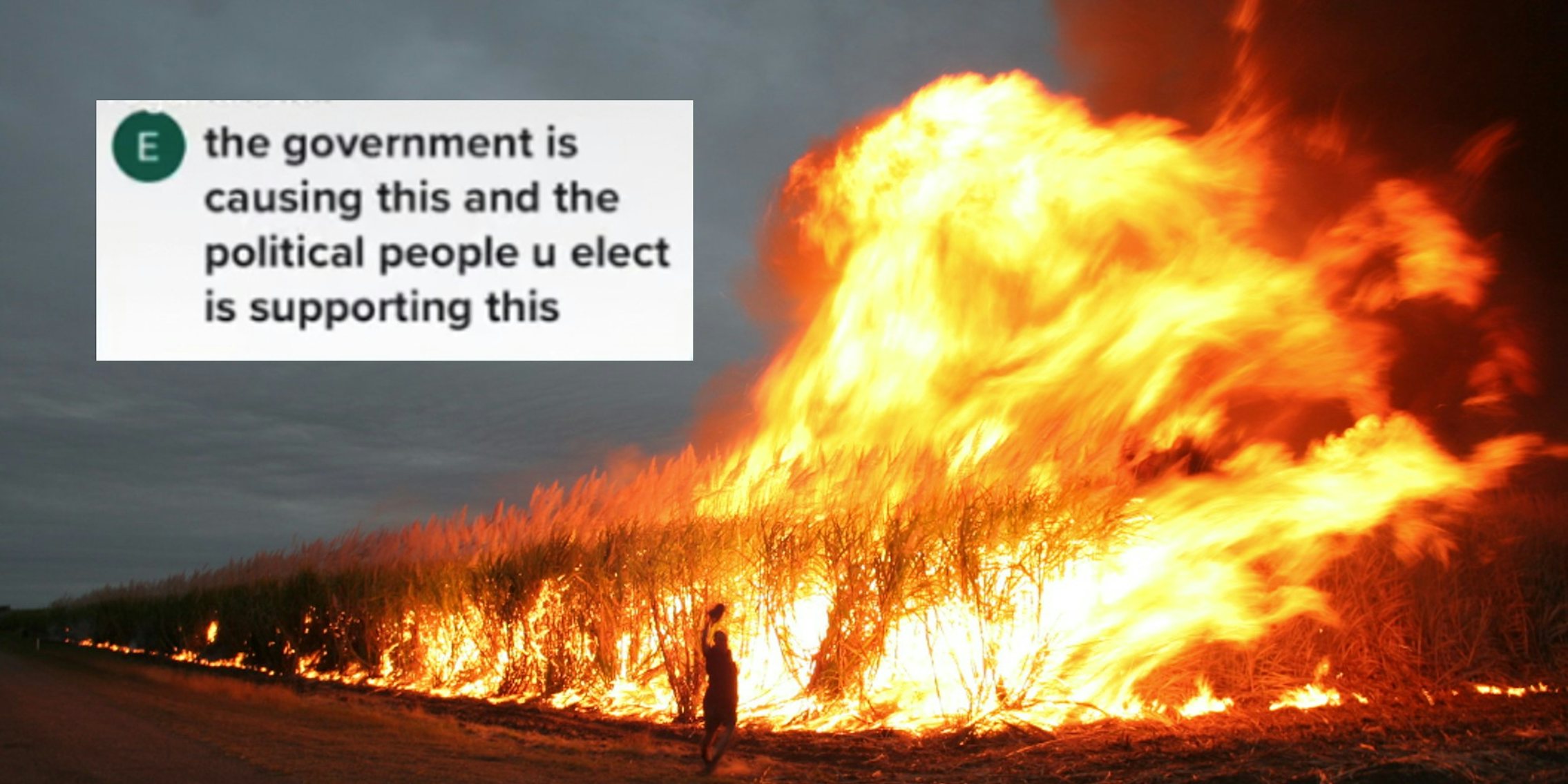 A large fire in a crop field next to a comment blaming the governmentRob and Stephanie Levy