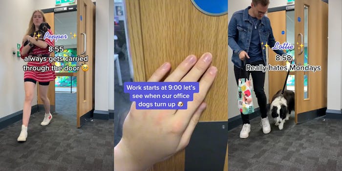 woman holding small dog walking through door caption "Pepper 8:55 always gets carried through the door" (l) person hand on door caption "Work starts at 9:00 let's see when our office dogs turn up" (c) man walking dog on leash through door caption "Lottie 8:00 Really hates Mondays" (r)