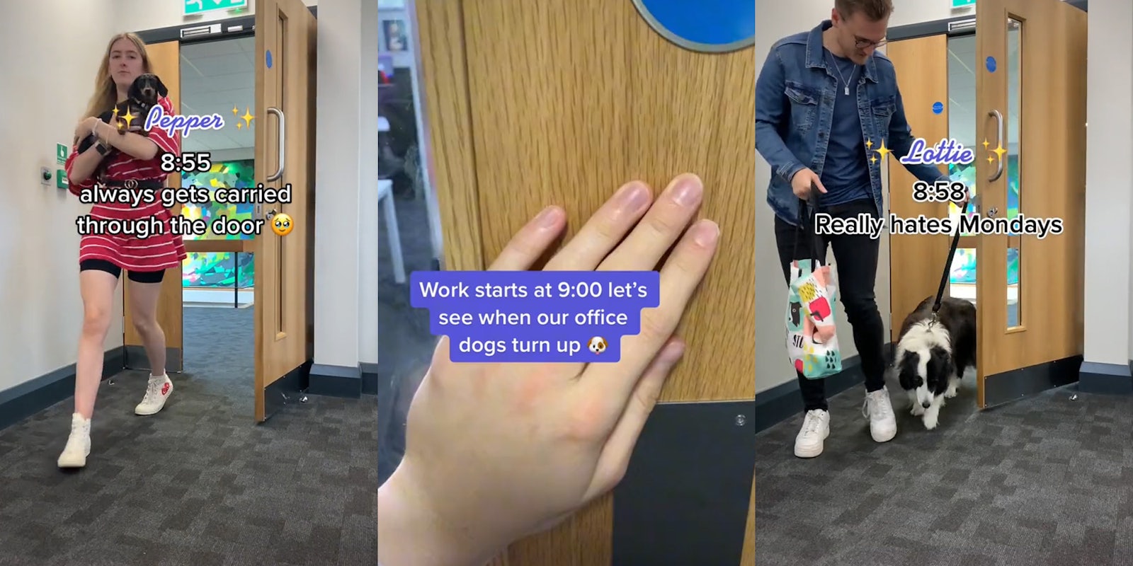 woman holding small dog walking through door caption 'Pepper 8:55 always gets carried through the door' (l) person hand on door caption 'Work starts at 9:00 let's see when our office dogs turn up' (c) man walking dog on leash through door caption 'Lottie 8:00 Really hates Mondays' (r)