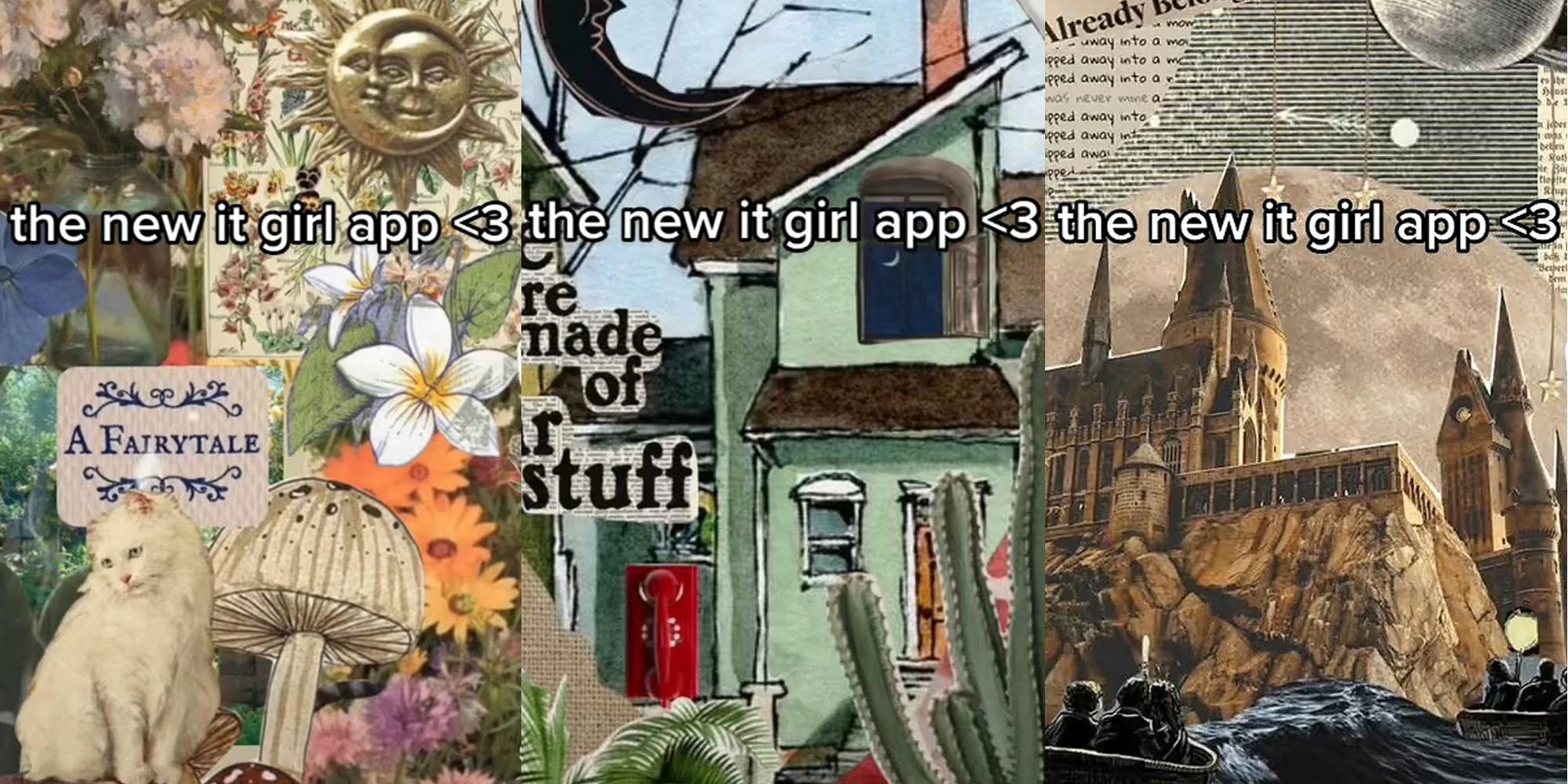 Shuffles collage with cat mushroom flowers and sun with moon caption "the new it girl app